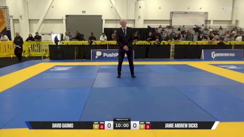 Jamie Andrew Dicks vs David Garmo 2025 World IBJJF Jiu-Jitsu No-Gi Championship