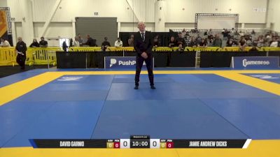 Jamie Andrew Dicks vs David Garmo 2025 World IBJJF Jiu-Jitsu No-Gi Championship