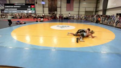 152 lbs Rr Rnd 3 - Christian Snavely, The Asylum Black vs Liam Springer, Hammer Wrestling Club