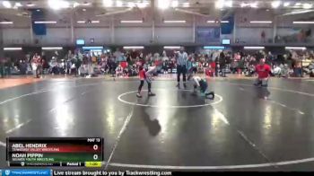 75 lbs Quarterfinal - Abel Hendrix, Tennessee Valley Wrestling vs Noah Pippin, Weaver Youth Wrestling