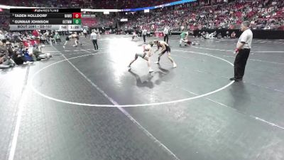 D2-157 lbs Quarterfinal - Taden Holldorf, Baldwin-Woodville vs Gunnar Johnson, Gale-Ettrick-Tremp./Mel.-Min.