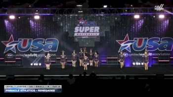 Pinnacle Athletics - Renegades [2026 L1 Junior - D2 - Small - B Day 2] 2026 USA All Star Super Nationals