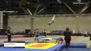 Lexie Schreiner - Double Mini Trampoline, Flipside - 2021 USA Gymnastics Championships