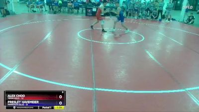 125 lbs Semis & 1st Wrestleback (8 Team) - Alex Choo, Texas Gold vs Presley Havemeier, Minnesota Blue