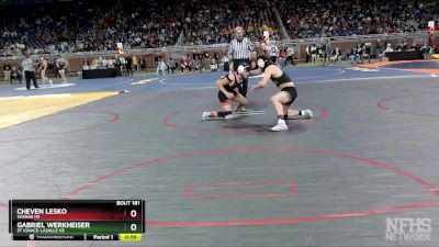 D4-150 lbs Cons. Round 1 - Gabriel Werkheiser, St Ignace-LaSalle HS vs Cheven Lesko, Vassar HS