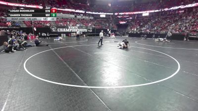 126 lbs Cons. Semis - Logan Boehnlein, Seymour vs Damien Thomas, Whitnall