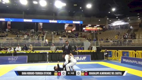 Guadalupe Almendarez Del Castill vs Dana Nobuko-Tsuruda Stevens 2025 Pan Jiu Jitsu IBJJF Championship