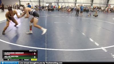 Elite 133 lbs Cons. Round 3 - Alexander Needham, Dubuque vs Nolan Nguyen, Buena Vista