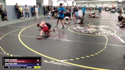 85 lbs Quarterfinal - Paxton Erik, Bethel Freestyle Wrestling Club vs Tate Stokes, Anchor Kings Wrestling Club