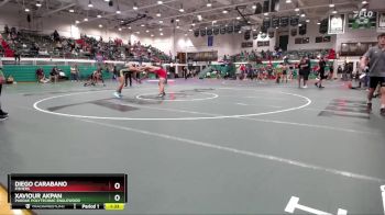 165 lbs Semifinal - Xaviour Akpan, Purdue Polytechnic Englewood vs Diego Carabano, Fishers