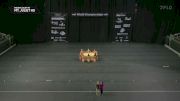 Mt. Juliet HS "Mount Juliet TN" at 2026 WGI Guard World Championships