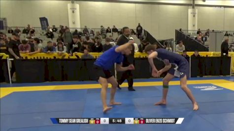 Oliver Enzo Schmidt vs Tommy Sean Grealish 2024 World IBJJF Jiu-Jitsu No-Gi Championship