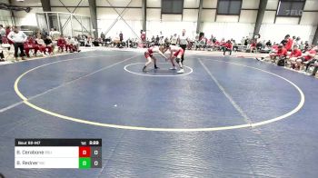 125 lbs Quarterfinal - Bryan Cerabone, Bridgewater vs Brett Redner, Rhode Island College