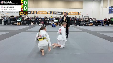 Pallie Jones vs Madison Hehl 2026 PBJJF Pan American Jiu-Jitsu Championships