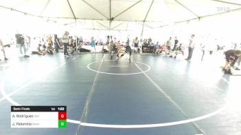 114 lbs Semifinal - Javian Palomino, Snake Pit vs Andrew Rodriguez, Dog Pound WC