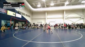 113 lbs Quarterfinal - Dallin Pyne, Spanish Fork vs Deryk Valdez, Carbon