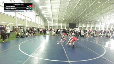 85 lbs Semifinal - Bosten Fry, Team Prestige Wrestling vs Nikolai Tibbs, Ravage Wrestling Club