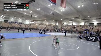 100 lbs Cons. Semi - Riley Wilkerson, Tennessee Valley Wrestling vs Addyson Fanguy, MTTC