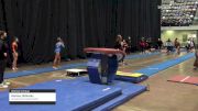 Kenley Didinsky - Women's Group, Scamps Gymnastics BGCK - 2021 Women's Xcel Region 4 Championships