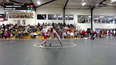 125 lbs Champ. Round 1 - Andrew Punzalan, Wabash vs Brenden Yob, Heidelberg