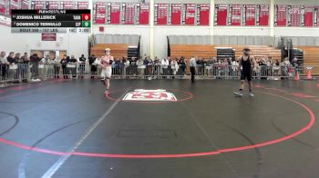 157 lbs 5th Place - Joshua Millerick, Taunton vs Domenico Ternullo, Saint John's Prep