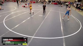 120 lbs Champ. Round 1 - Ty Wendel, MN Elite Wrestling Club vs Gabriel Roehl, Minnesota