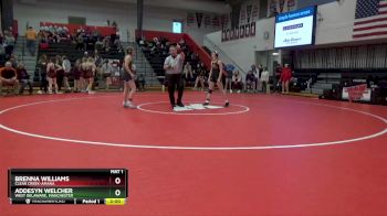 115 lbs Quarterfinal - Brenna Williams, Clear Creek-Amana vs Addesyn Welcher, West Delaware, Manchester