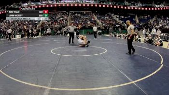 4A 132 lbs 1st Place Match - Liam Hickey, Cardinal Gibbons vs Tiaj Thao, Davie