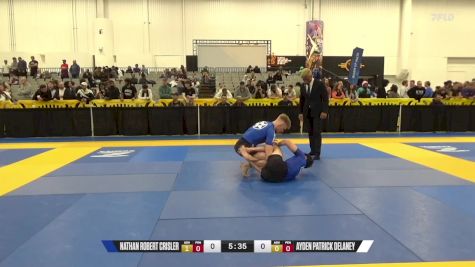 Ayden Patrick Delaney vs Nathan Robert Crisler 2024 World IBJJF Jiu-Jitsu No-Gi Championship