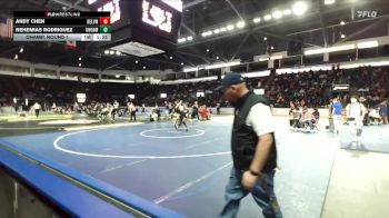 132 lbs Champ. Round 1 - Andy Chen, Bellevue vs Nehemias Rodriguez, Union
