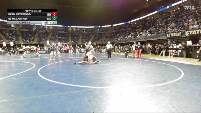 172 lbs Consy 4 - Evan Gatewood, Selinsgrove vs Sj McCartney, Kiski Area