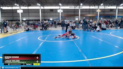 65 lbs Round 3 - Logun Walker, Clearwater Valley Wrestling Cl vs Koehn Downs, Suples