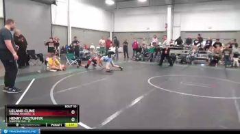 84 lbs Round 4 (6 Team) - Henry Moltumyr, Diamond Fish vs Leland Cline, Virginia Patriots