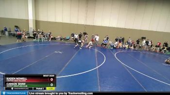 175 lbs Semifinal - Carson Shaw, Summit Wrestling Club vs Kaden Nowell, Canyon View Falcons