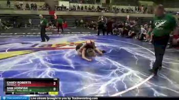 126 lbs Round 1 (4 Team) - Sam Hornyak, Waverly - Shell Rock vs Casey Roberts, Vacaville