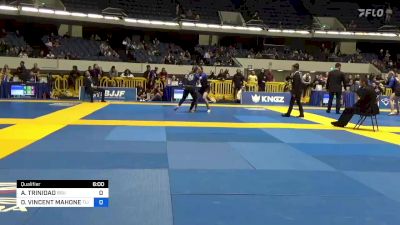 ALEX TRINIDAD vs DANIEL VINCENT MAHONEY 2022 World IBJJF Jiu-Jitsu No-Gi Championship
