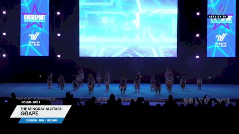 The Stingray Allstars - Grape [2024 L1 Tiny - Medium Day 1] 2024 CHEERSPORT National All Star Cheerleading Championship