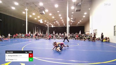 112 lbs Rr Rnd 2 - Lillian Seagreaves, Cumberland Valley High School vs Carlie Ciresa, Pocono Moutain Regional Wrestling Academy