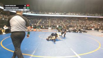 3A 175 lbs 1st Place Match - Gavin Gholami, Lincolnton High School vs Andrew Meadows, Mount Airy High School