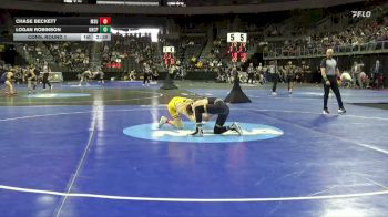 133 lbs Cons. Round 1 - Chase Beckett, Minnesota St. vs Logan Robinson, UNC Pembroke