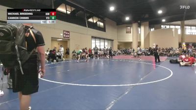 138 lbs Champ. Round 1 - Cannon Cribbs, Venice Takedown Club vs Michael Breeding, BCWC