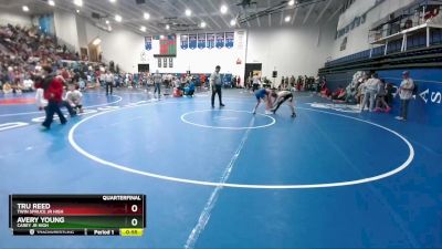 115 lbs Quarterfinal - Avery Young, Carey Jr High vs Tru Reed, Twin Spruce Jr High