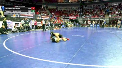 3A-113 lbs Champ. Round 1 - Elliott Gnewuch, Xavier, Cedar Rapids vs Damien Yeoman, Fort Dodge