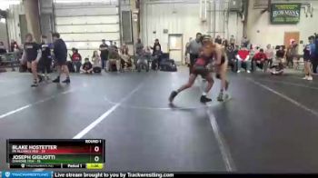 115 lbs Round 1 (4 Team) - Blake Hostetter, PA Alliance Red vs Joseph Gigliotti, Diamond Fish