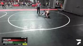 110 lbs Quarterfinal - Briggs Weigel, Belmont/Platteville vs Aidan Aure, Menomonie