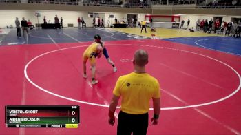 160 lbs Champ. Round 2 - Aiden Erickson, Hastings vs Vristol Short, Simley