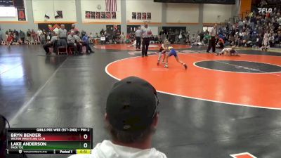 PW-2 lbs Semifinal - Bryn Bender, Wilton Wrestling Club vs Lake Anderson, Pack 732