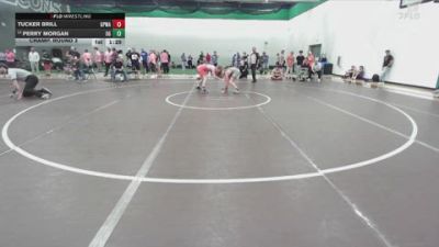 132 lbs Champ. Round 3 - Tucker Brill, Great Plains Wrestling Academy vs Perry Morgan, Oak Grove