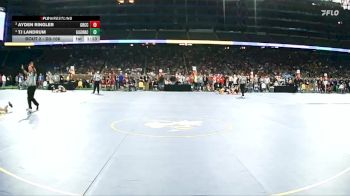 D3-106 lbs Champ. Round 1 - Ayden Ringler, Grand Rapids Catholic Central vs Tj Landrum, Algonac