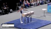 Landon Simpson - Pommel Horse, Centre Elite Gym - 2021 US Championships